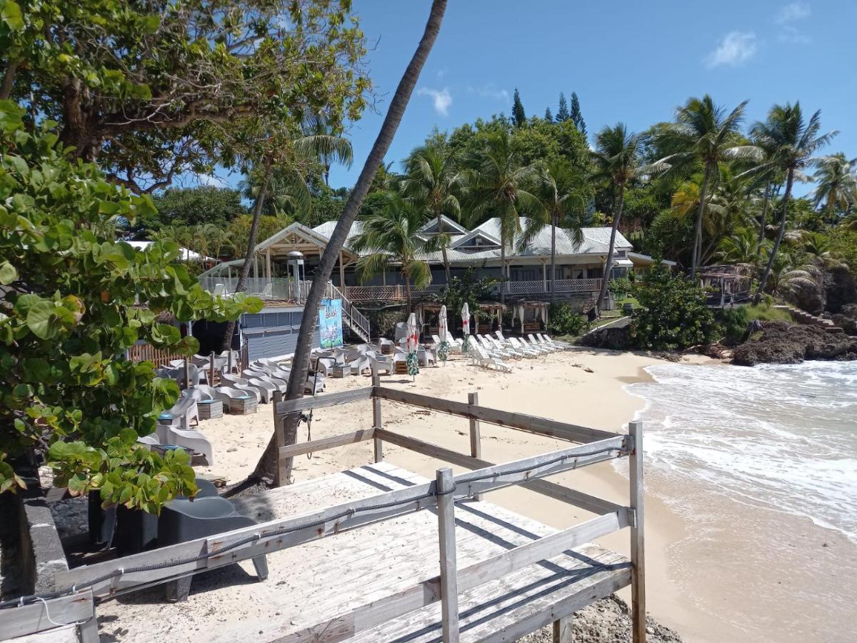 Grand Studio De 41 M², Vue Mer Et Jardin Tropical. 哥西尔 外观 照片