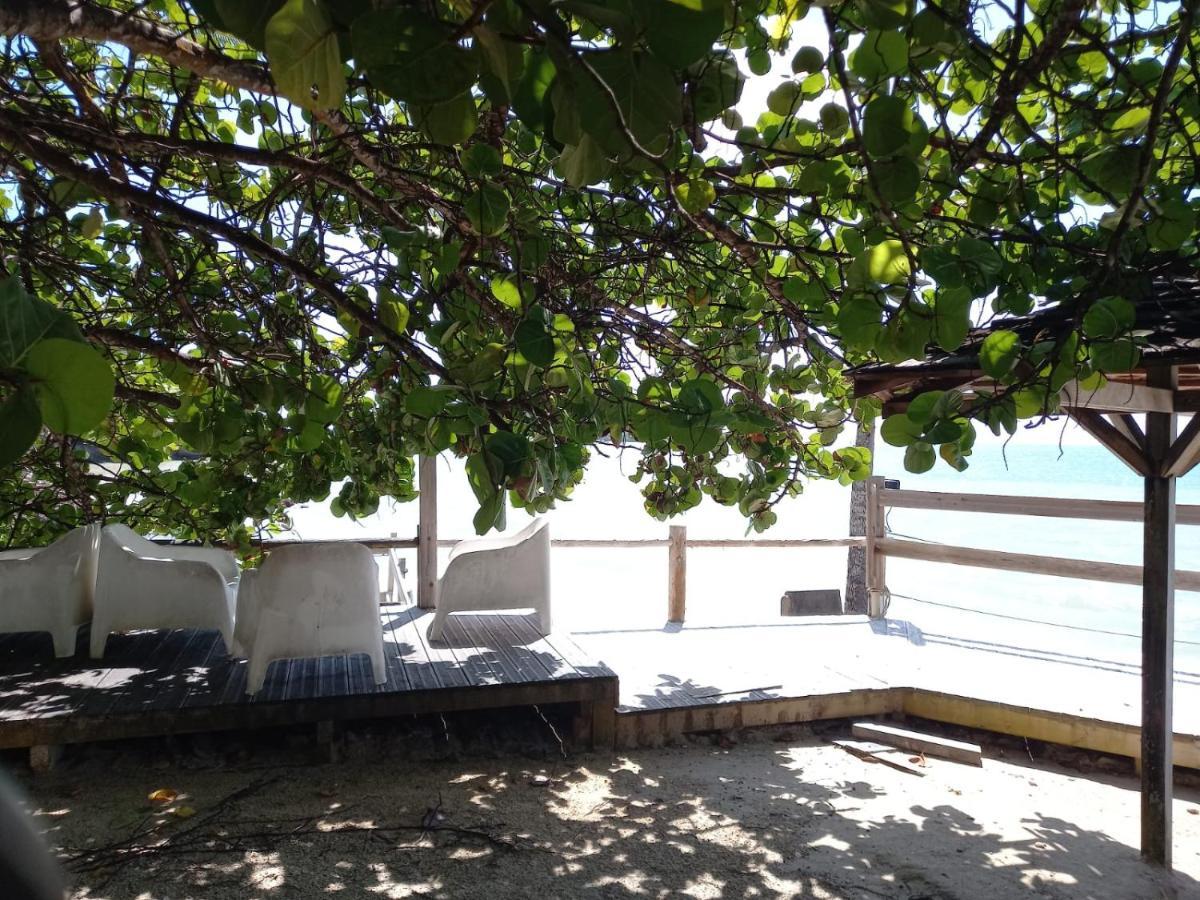 Grand Studio De 41 M², Vue Mer Et Jardin Tropical. 哥西尔 外观 照片