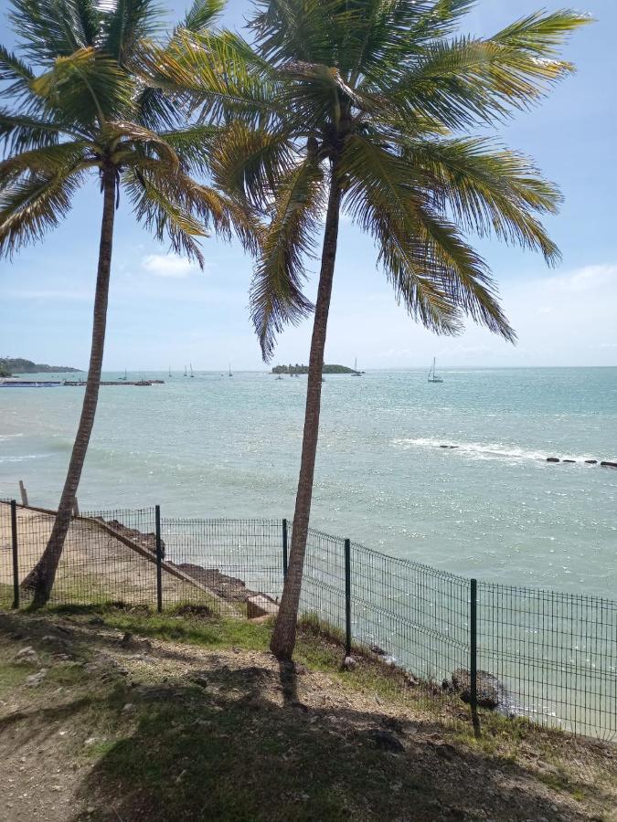 Grand Studio De 41 M², Vue Mer Et Jardin Tropical. 哥西尔 外观 照片